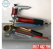 COMBO SÚNG BƠM MỠ BÒ BẰNG HƠI VÀ BẰNG TAY LOẠI 900cc